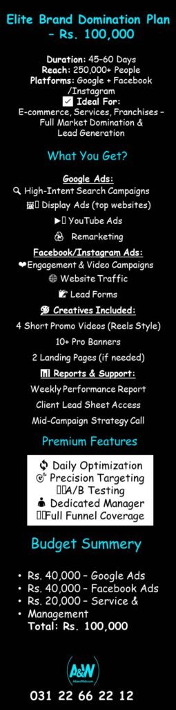 Comprehensive digital marketing plan with advanced ad campaigns for business domination